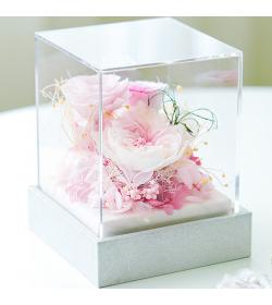 永生花：浪漫叙事 粉色款