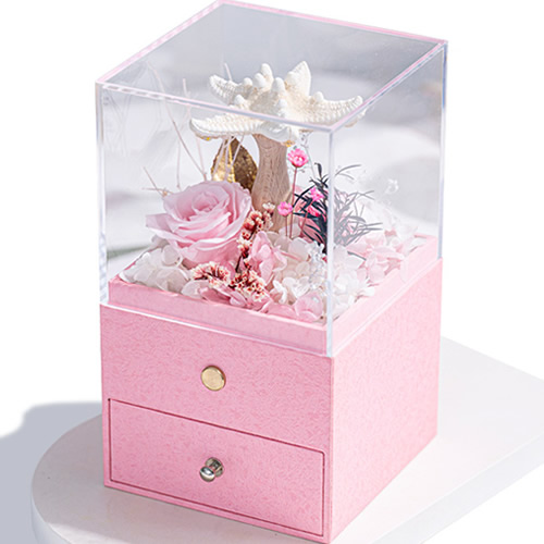 永生花：海星小夜灯 粉色款