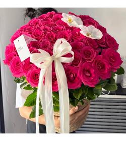 鲜花：撩拨心弦 52枝弗洛伊德