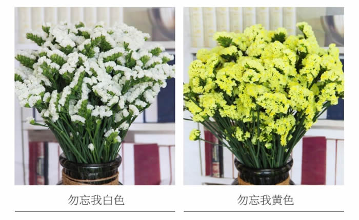 勿忘我半干花 无数枝/扎 500g 多色可选 办公室居家客厅摆设装饰
