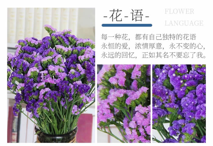 勿忘我半干花 无数枝/扎 500g 多色可选 办公室居家客厅摆设装饰