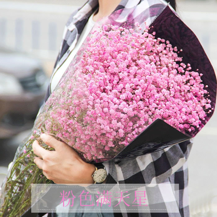 满天星半干花 无数枝/扎 500g 多色可选 办公室居家客厅摆设装饰