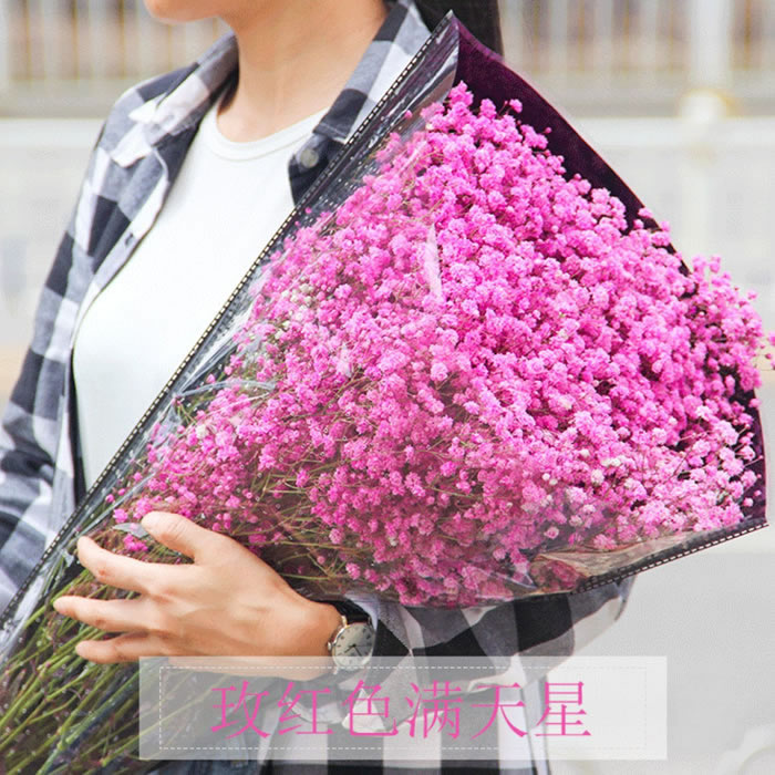 满天星半干花 无数枝/扎 500g 多色可选 办公室居家客厅摆设装饰
