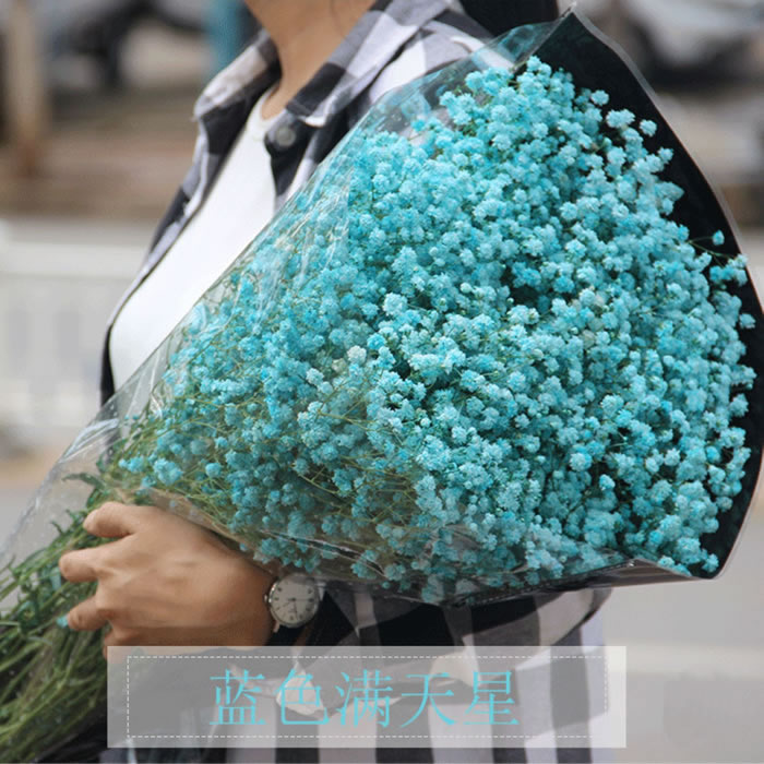 满天星半干花 无数枝/扎 500g 多色可选 办公室居家客厅摆设装饰