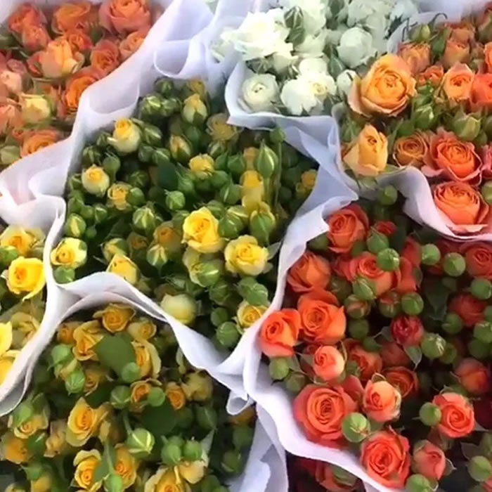 多头小玫瑰鲜花 10枝/扎 多色可选 办公室居家客厅摆设装饰