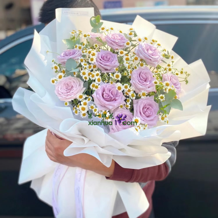 11枝紫玫瑰,洋甘菊、尤加利叶搭配