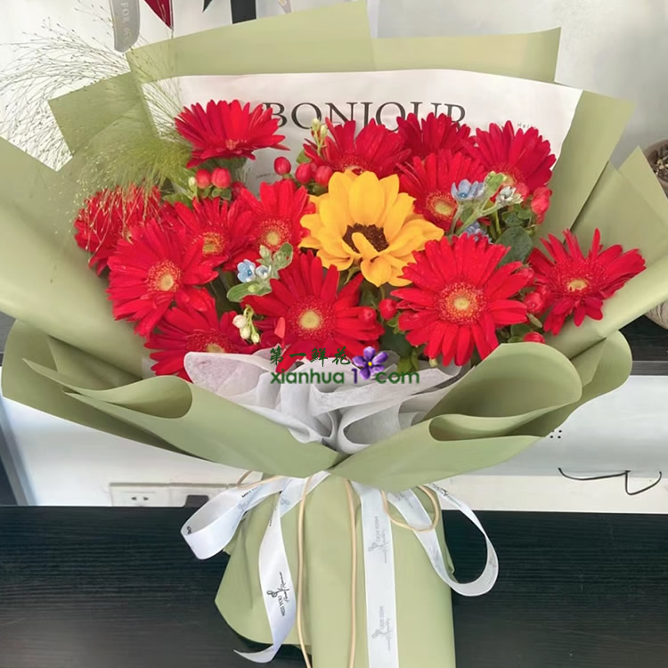 12枝红色扶郎,1枝向日葵、喷泉草、蓝星花搭配