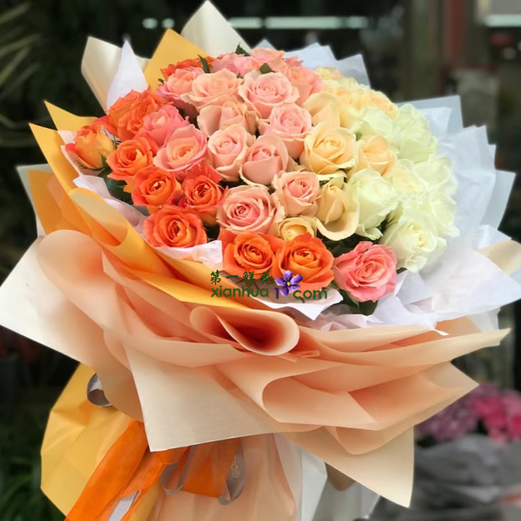 11枝橙色玫瑰、11枝粉玫瑰,11枝香槟玫瑰,11枝白玫瑰