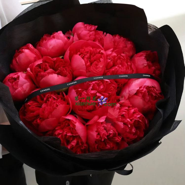 15枝御前表演芍药,黑色丝带装饰