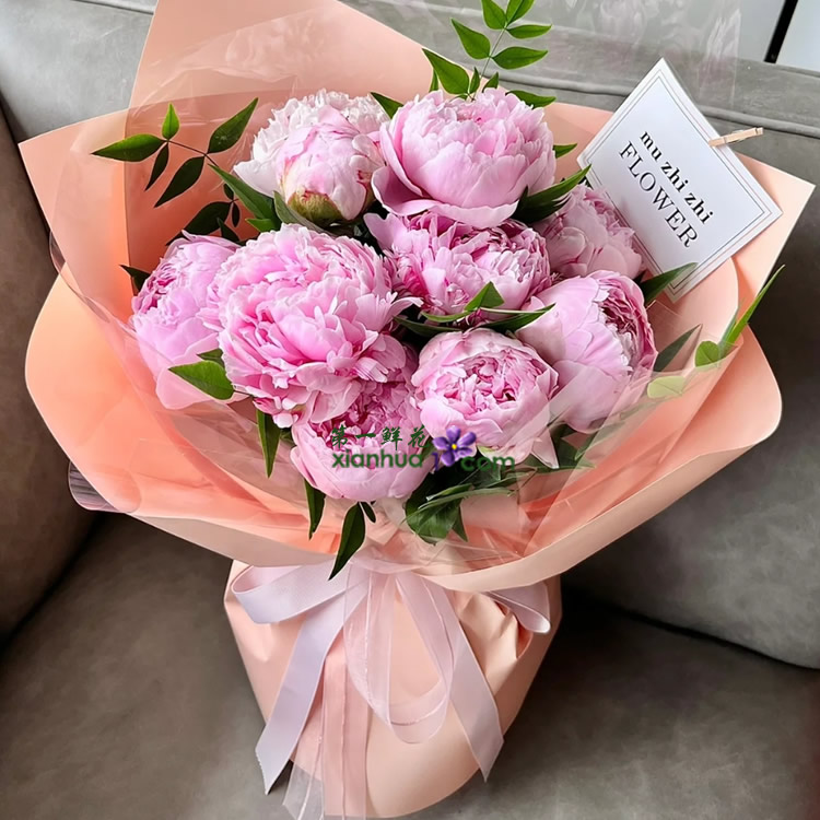 9枝莎拉芍药,九星叶搭配