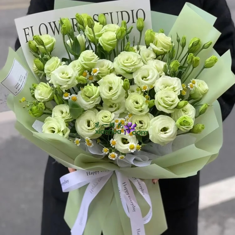 12枝绿色洋桔梗,洋甘菊搭配