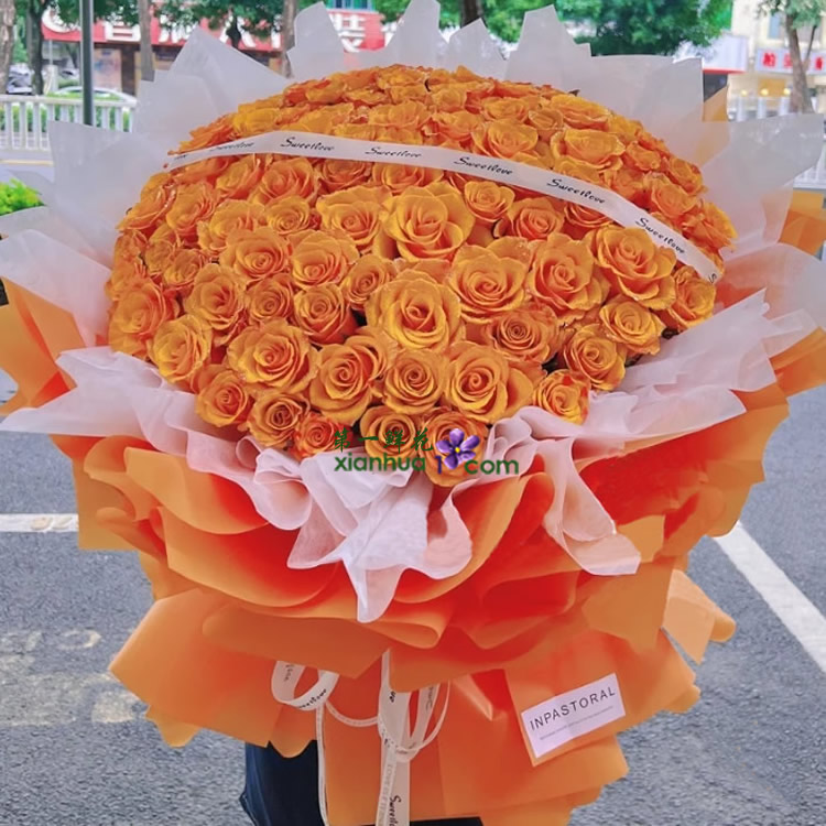 99枝辉煌橙色玫瑰,丝带装饰