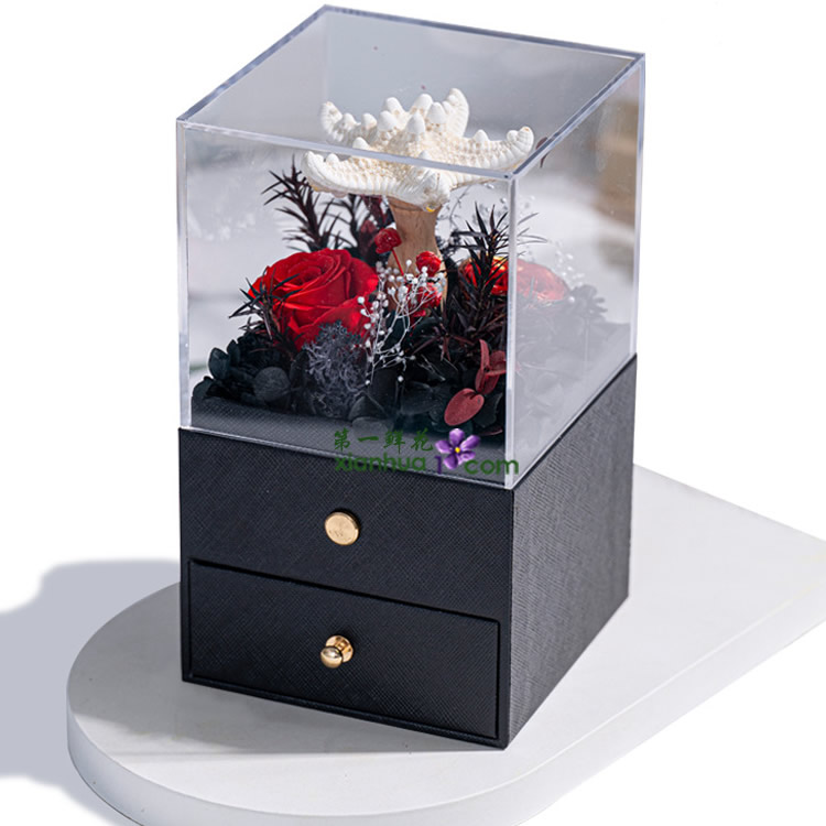 海星小夜灯 红色款