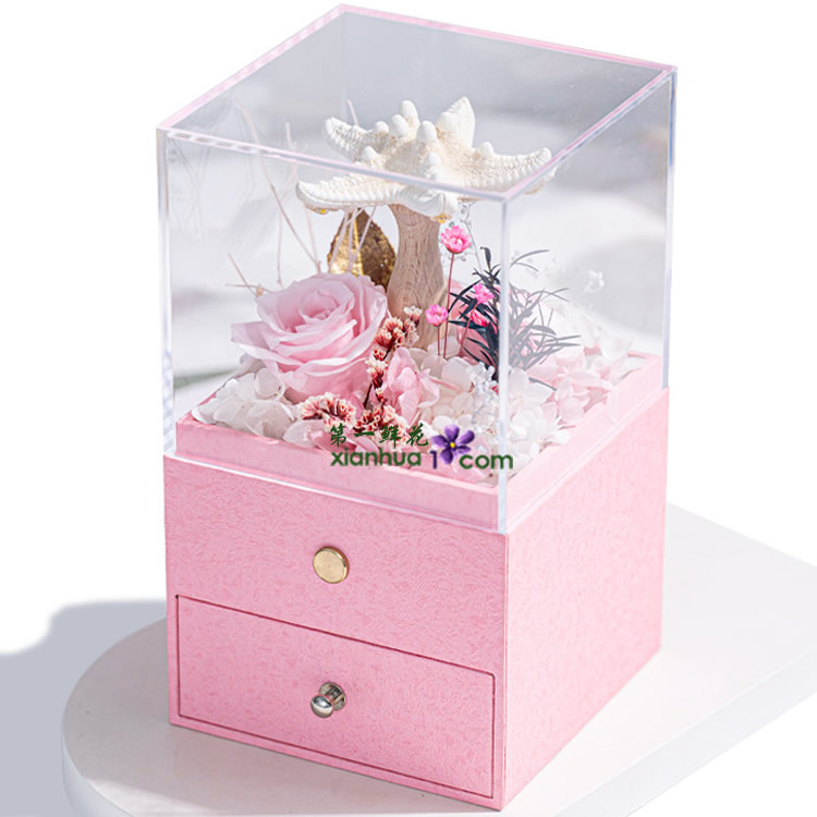 海星小夜灯 粉色款